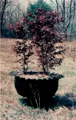 Upstate by Richard Prince, 1995-99, Ektacolour photograph, sold Feb 2013