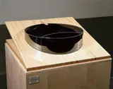 Dan Graham, Swimming Pool/Fish Pond, 1997, wood, metal, glass