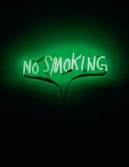 Adel Abdessemed, No Smoking, 2012, neon