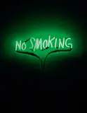 Adel Abdessemed, No Smoking, 2012, neon