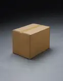 Gavin Turk, Box