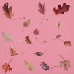 Jonathan Yeo, Leaf Study 32, 2008, collage on painted canvas