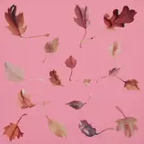 Jonathan Yeo, Leaf Study 32, 2008, collage on painted canvas