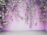 Luisa Lambri, Untitled (Barragan House, #07), 2005, laserchrome print