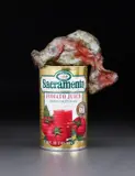Josh Smith, Josh Fish, 2008, bronze with green and red patina and found can