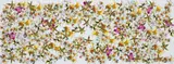 Philippe Pasqua, Flowers, 2003, collage on painted canvas
