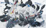 Marc Quinn, Separation of Body and Soul (Ultramarine), 2011, oil on canvas