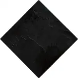 Rashid Johnson, Cosmic Slop