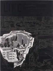 Matthew Day Jackson, Gimme Shelter #1, 2009, laser cut formica on wood