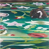 Karin Kneffel, Untitled (Dog)
