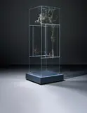 David Altmejd, Untitled, 2005, wood, plywood, perspex, gold chain, Plexiglas, glue