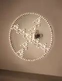 Carsten Höller, A-Rad