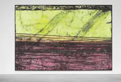 Sterling Ruby, SP83, 2009, acrylic spray paint on canvas