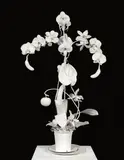 Marc Quinn, The Antarctic Nurseries of El Dorado (True North), 2011, painted bronze