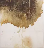 Hermann Nitsch, Relic of the 50th Action