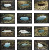 Ólafur Elíasson, Spring puddle series (set of 12), 2004, cibachrome print