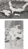 Cindy Sherman, Two works: i) Untitled (#342); Untitled (#349), 1999, each gelatin silver print