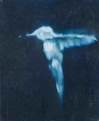 Falling Bird by Ross Bleckner, 2002, oil on canvas, sold Dec 2013