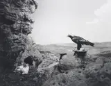 Golden Eagle by Hiroshi Sugimoto, 1994, gelatin silver print, sold Dec 2013