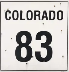 Jimmie Durham, Colorado 83, 2002, mixed media on board