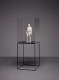 Hans Op de Beeck, Eric, 2008, Laser-hardened 3-D resin print, metal plinth, Perspex case, plastic and wood