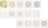 In A Spin, The Action of the World on Things Volume II by Damien Hirst, 2002, The complete set of fourteen etchings in colours with original colophon on Hahnemühle 350 gsm paper, with full margins,, sold Feb 2013