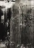 Uran by Gerhard Richter, 1989, Silver gelatin print on photo paper, the full sheet,, sold Feb 2013
