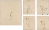 Untitled (from Leonardo) by Jean-Michel Basquiat, 1983, The complete set of five screenprints in colours, on Okawara paper, the full sheets,, sold Dec 2013