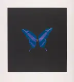 The Souls on Jacob’s Ladder take their Flight by Damien Hirst, 2008, A unique colour etching, with photogravure and aquatint, printed from four plates, two aquatint and two colour photograv, offered Dec 2013