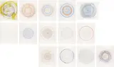 In a Spin, the Action of the World on Things volume II by Damien Hirst, 2002, The complete set of 14 etchings in colours, with colophon, on Hahnemühle 350 gsm paper, with full margins, plus the acco, sold Dec 2013
