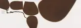 Victor Pasmore, Images of the World, 1975, The complete portfolio of five etchings and aquatints in colours, on Fabriano paper, the full sheets, with accompanying poem by the artist,