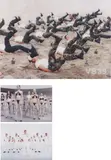 Vanessa Beecroft, Untitled (for Parkett 56), 1999, The complete set of five screenprints in colours, on wove paper, mounted between Diasec plates (as issued), the full sheets,