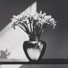 Irises by Robert Mapplethorpe, 1986, Gelatin silver print, sold May 2013