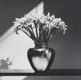 Irises by Robert Mapplethorpe, 1986, Gelatin silver print, sold May 2013