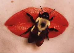Irving Penn, Bee on Lips, New York, September 22, 1995, Dye transfer print, printed 1999