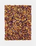 Adam Fuss, Untitled