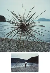 Andy Goldsworthy, Woven bamboo, Kiinagashima-Cho, Japan, 27 November, 1987, Dye destruction print, mounted