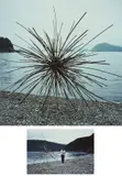 Andy Goldsworthy, Woven bamboo, Kiinagashima-Cho, Japan, 27 November