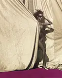 Michel Comte, Iman