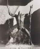 Waterfall II, Hollywood by Herb Ritts, 1988, Platinum print, offered Nov 2013