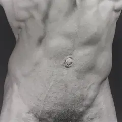 Torso by Robert Mapplethorpe, 1987, Gelatin silver print, sold Nov 2013