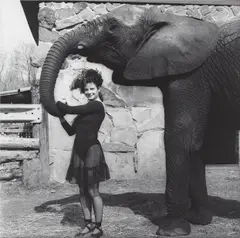 Lisa Lyon by Robert Mapplethorpe, 1982, Gelatin silver print, flush-mounted, offered Nov 2013