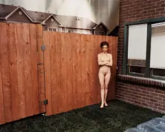 Backyard, West Valley Studio by Larry Sultan, 2003, Chromogenic print, offered Nov 2013