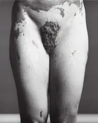 Lisa Lyon by Robert Mapplethorpe, 1982, Gelatin silver print, sold Nov 2013