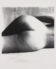 Nude by Irving Penn, 1949-1950, Gelatin silver print, offered Nov 2013