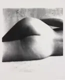 Irving Penn, Nude, 1949-1950, Gelatin silver print