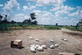 Black Bayou Plantation near Glendora, Mississippi by William Eggleston, circa 1970, Dye transfer print, printed circa 1980, offered Nov 2013