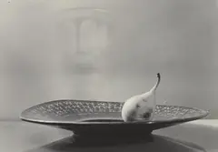 Pear on a plate by Josef Sudek, 1951, Gelatin silver print, printed later, offered Nov 2013