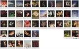 Nobuyoshi Araki, 42 Polaroids