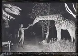 Peter Beard, Maureen Gallagher and a Late Night Feeder, Hog Ranch, 1987, Gelatin silver print with paint and ink, printed later